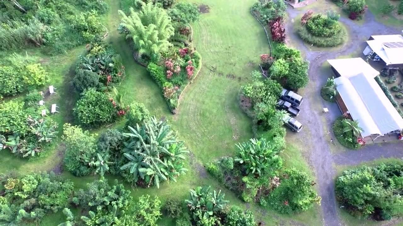Hawaiian Sanctuary Eco Retreat Center Villa Pahoa Buitenkant foto
